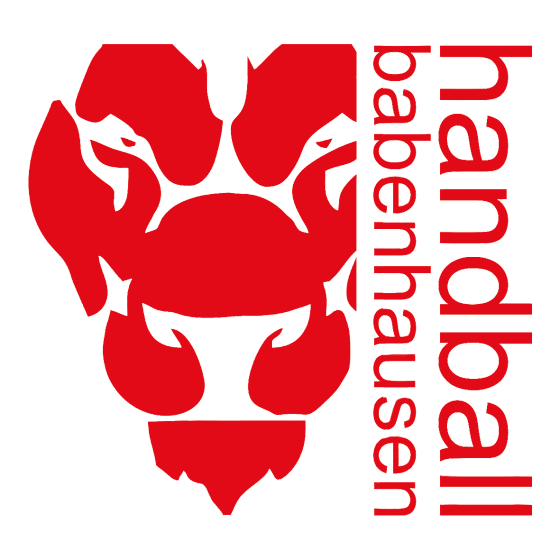 SG RotWeiss Handball Babanehausen